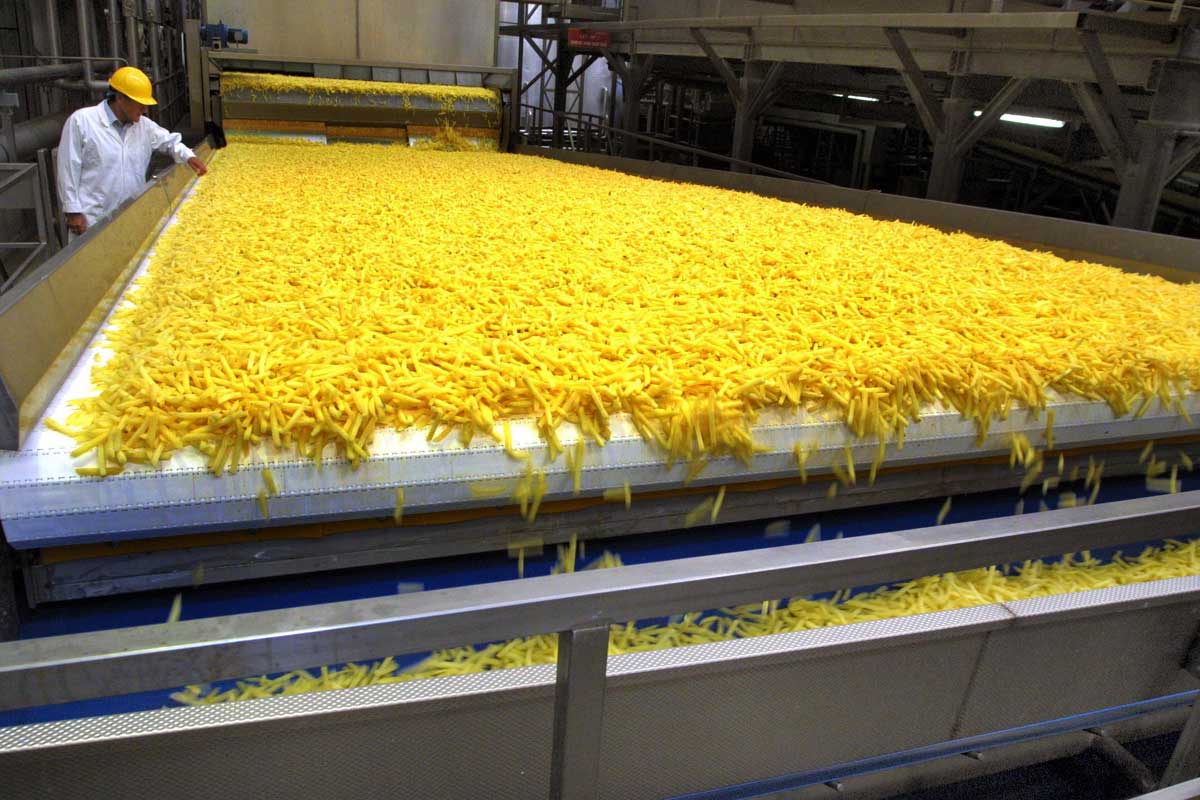 مصنع بطاطس نصف مقلية في السعودية