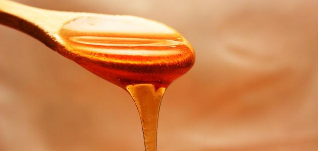 العسل لزيادة الحيوان المنوى