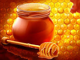 العسل لعلاج تضخم الطحال