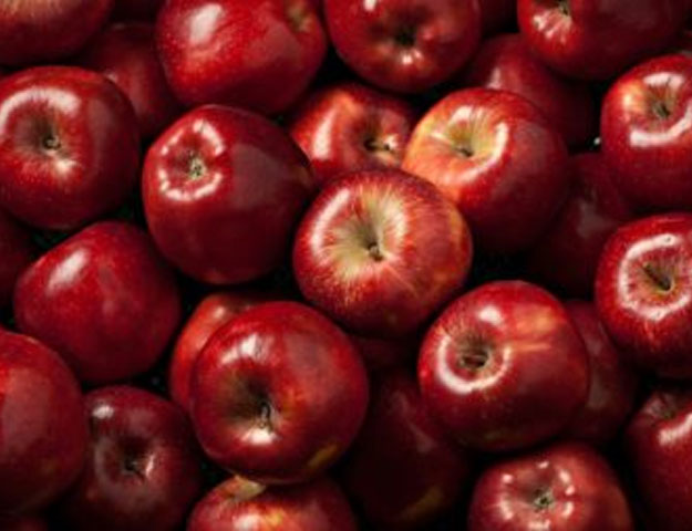  تصدير التفاح من تركيا